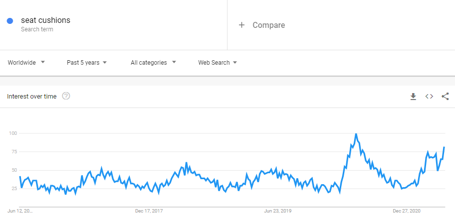 seat cushions Google Trend